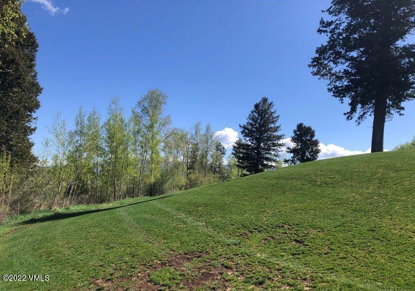 75 West Timber Drive Edwards, CO 81632 - Photo 3 of 10 a view of a big yard with a tree