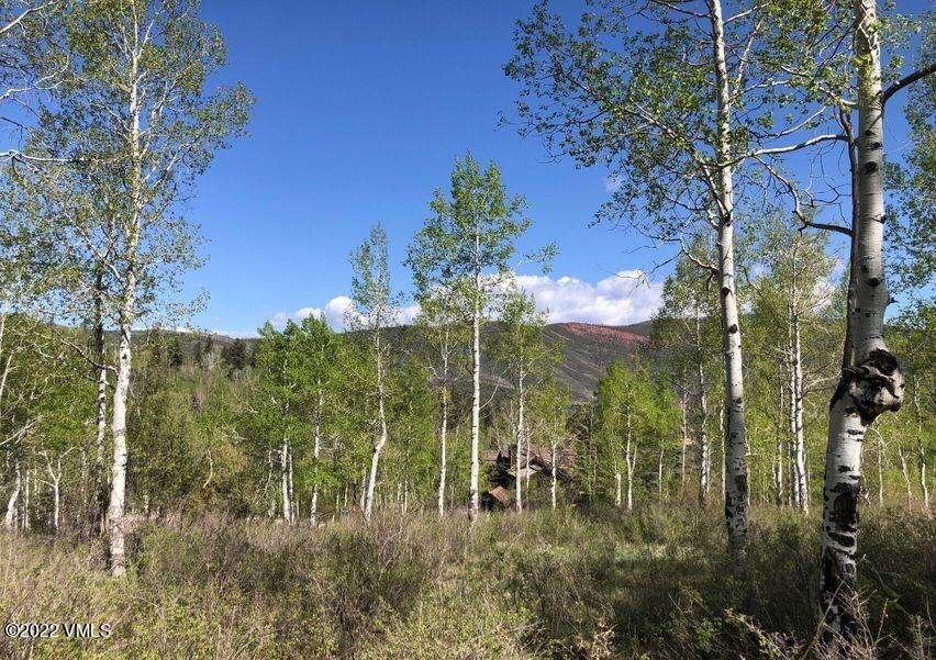 75 West Timber Drive Edwards, CO 81632 - Photo 4 of 10 a view of a city