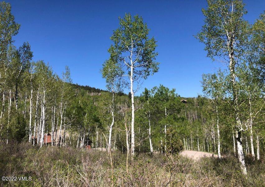 75 West Timber Drive Edwards, CO 81632 - Photo 5 of 10