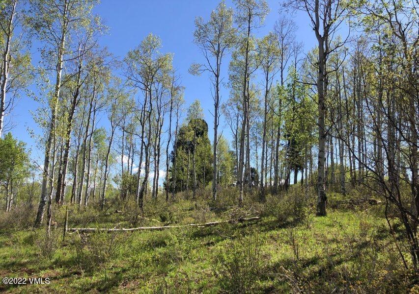 75 West Timber Drive Edwards, CO 81632 - Photo 6 of 10 a view of backyard with green space