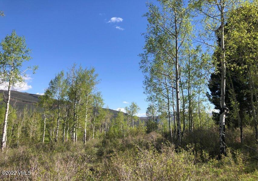 75 West Timber Drive Edwards, CO 81632 - Photo 7 of 10 a view of a garden