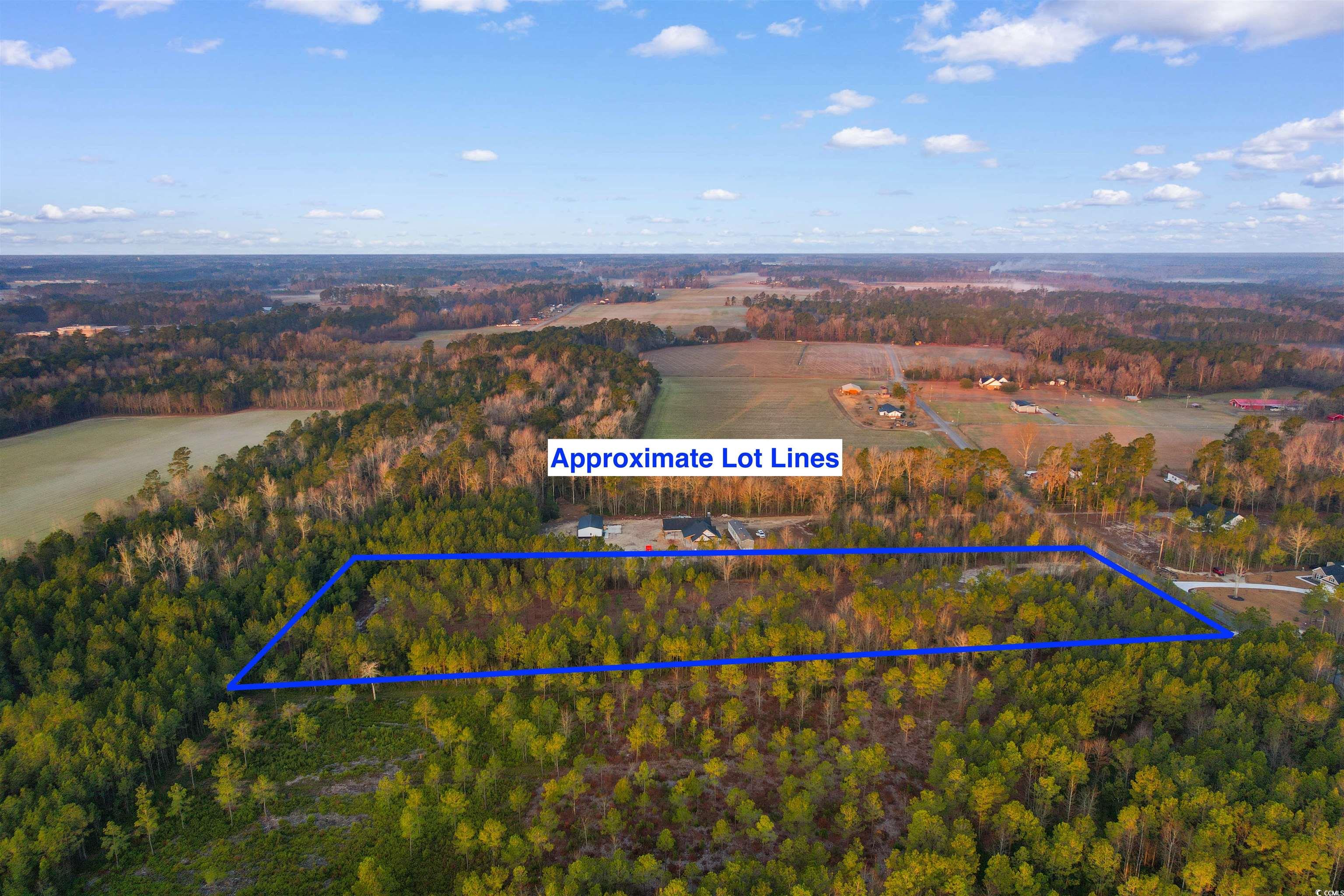 Huckleberry Road Galivants Ferry, SC 29544 - Photo 2 of 10 Drone / aerial view