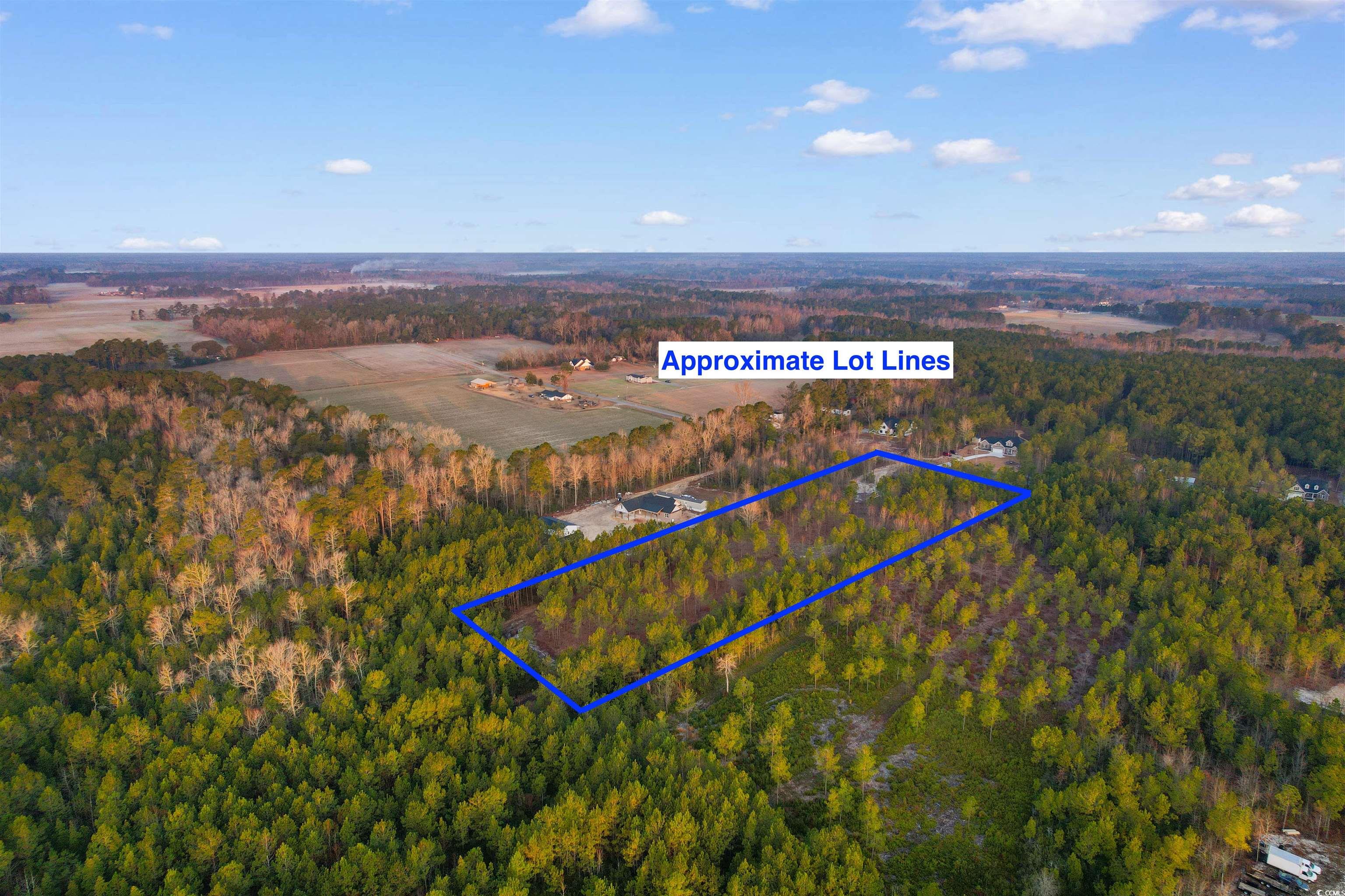 Huckleberry Road Galivants Ferry, SC 29544 - Photo 3 of 10 Drone / aerial view