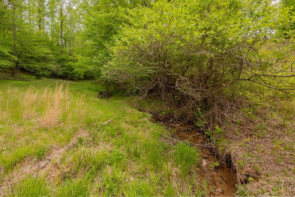 180 Gilbert Valley Road, Unit 67 Stuart, VA 24171 - Photo 11 of 53 Gallery Image 11