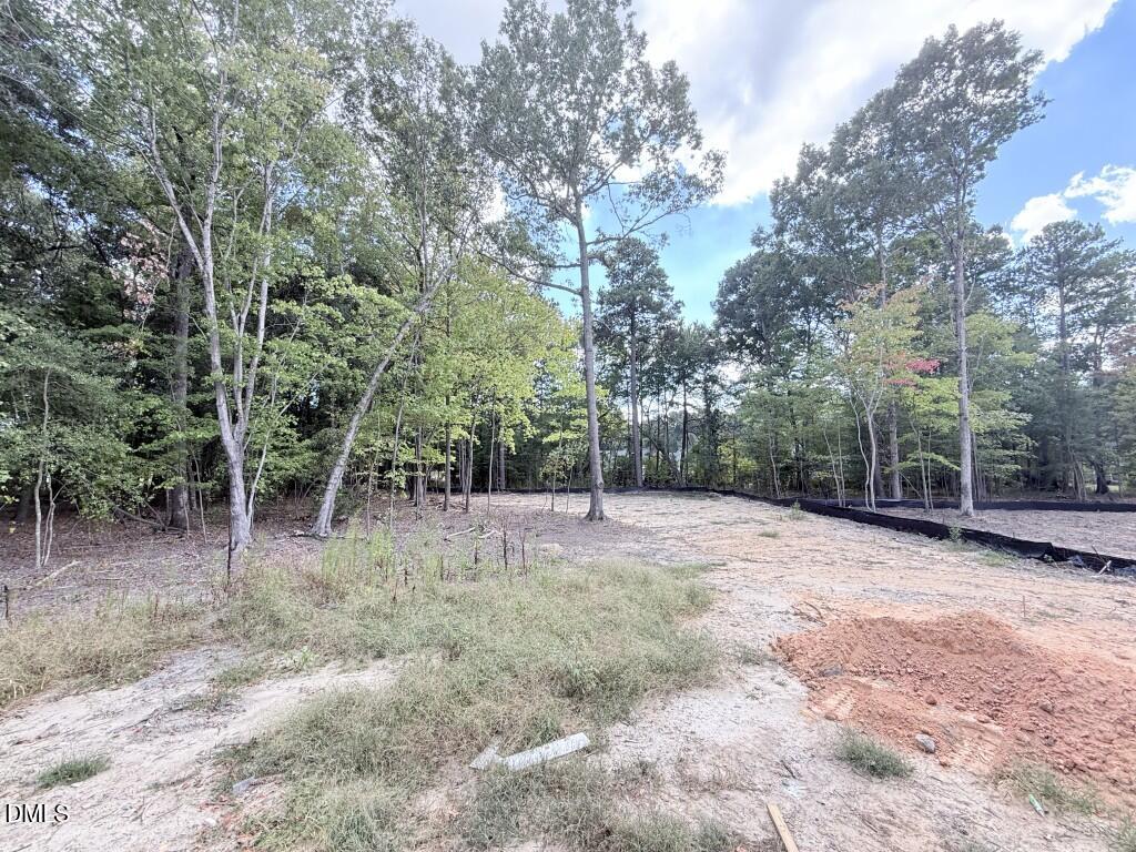 325 Black Caviar Way Raleigh, NC 27603 - Photo 15 of 15 IMG_5407 (Medium)