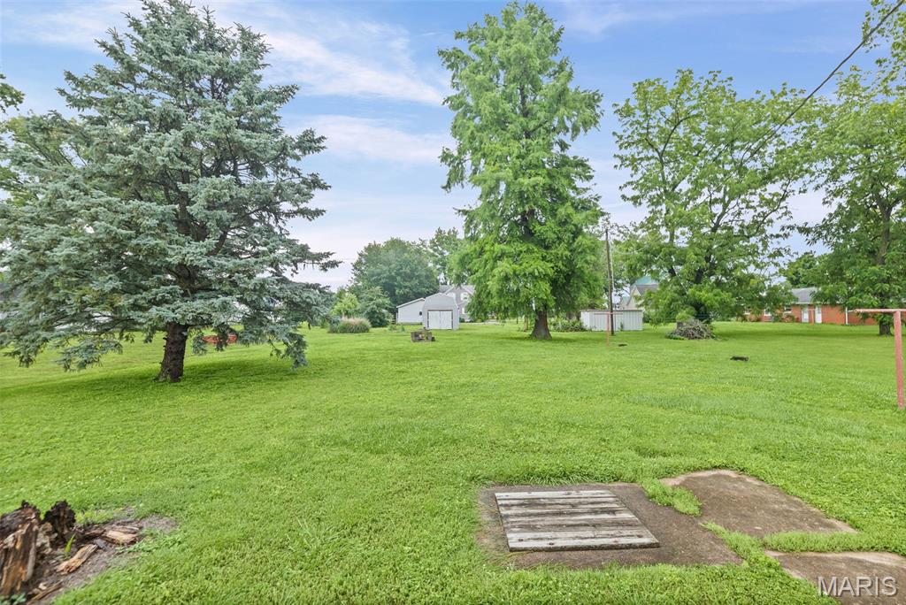150 North Park Street Hoyleton, IL 62803 - Photo 6 of 48