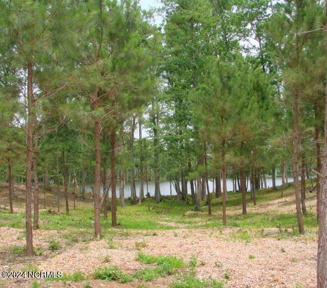 109 Norcum Point Road Edenton, NC 27932 - Photo 4 of 9 photo 7