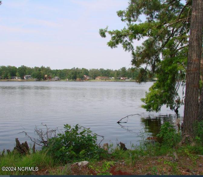 109 Norcum Point Road Edenton, NC 27932 - Photo 5 of 9 photo 6