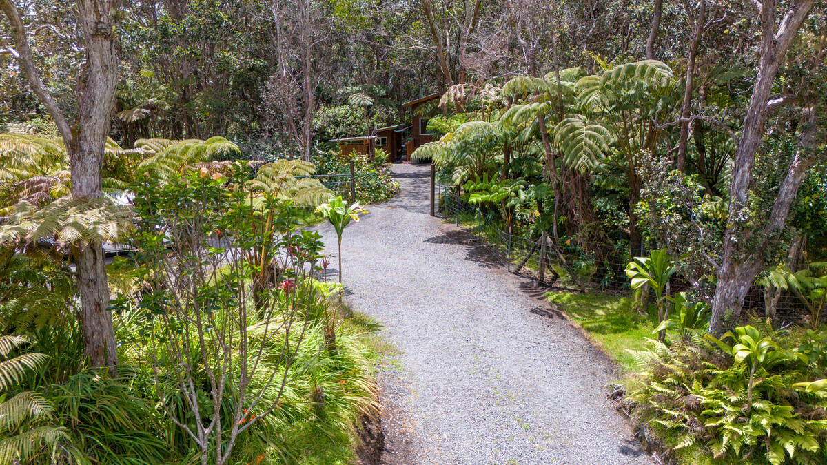 19-4045 Maile Avenue Volcano, HI 96785 - Photo 18 of 29