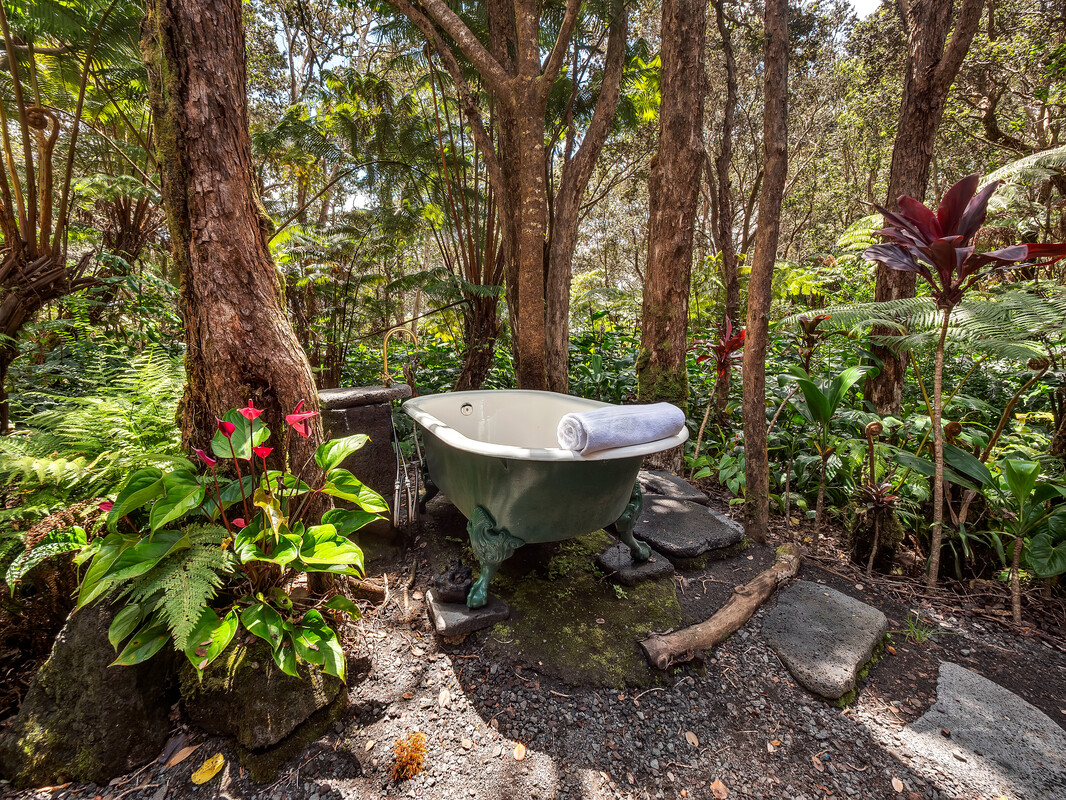 19-4045 Maile Avenue Volcano, HI 96785 - Photo 26 of 29