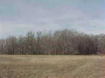 County Line & Broomfield Remus, MI 49340 - Photo 1 of 1 Primary Photo