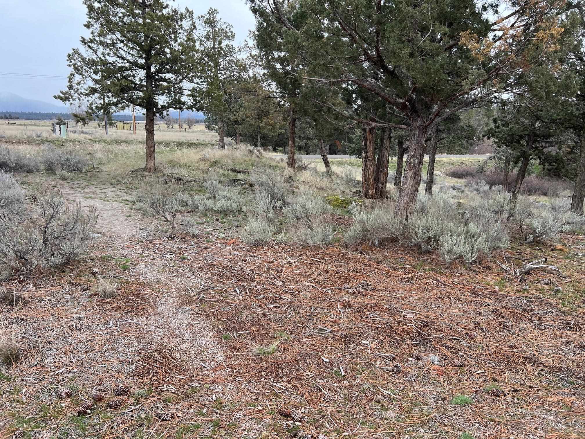 9-1 Lot 144 Brookside Road Weed, CA 96094 - Photo 2 of 48 Gallery Image 2
