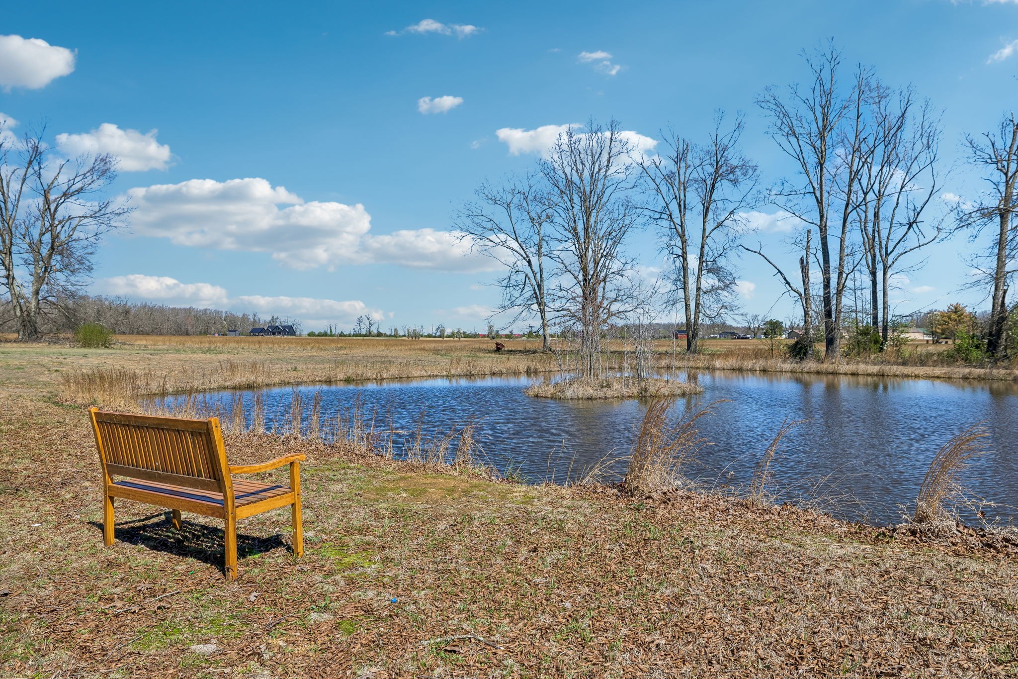 267 Switzerland Road Hohenwald, TN 38462 - Photo 80 of 98