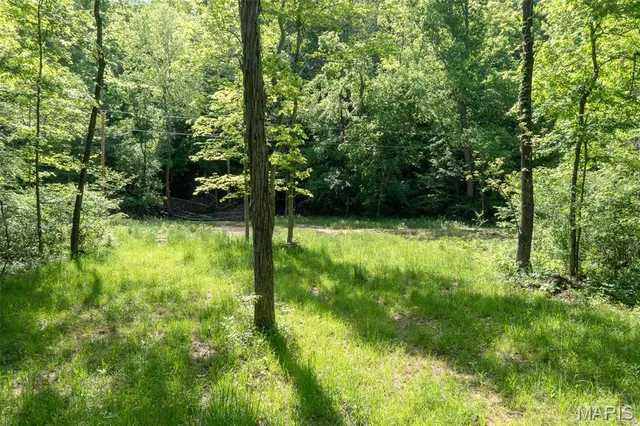 $49,900 | 0 Tract 2 Off Madison 320, Marquand, MO 63655