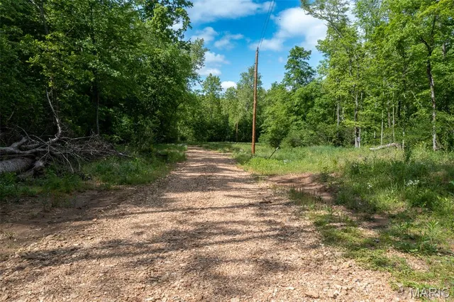 $49,900 | 0 Tract 2 Off Madison 320, Marquand, MO 63655