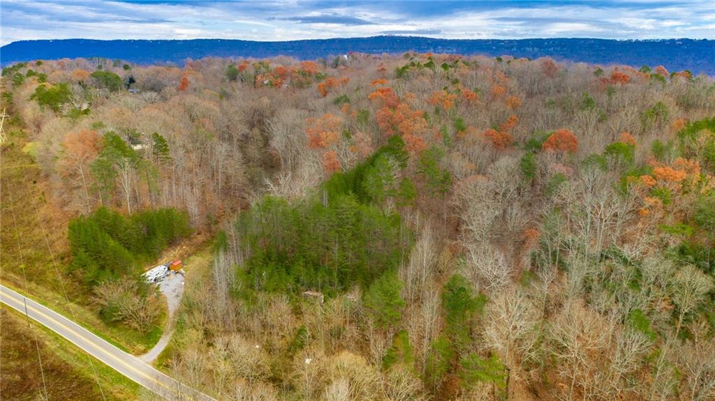 a view of a lake from a forest