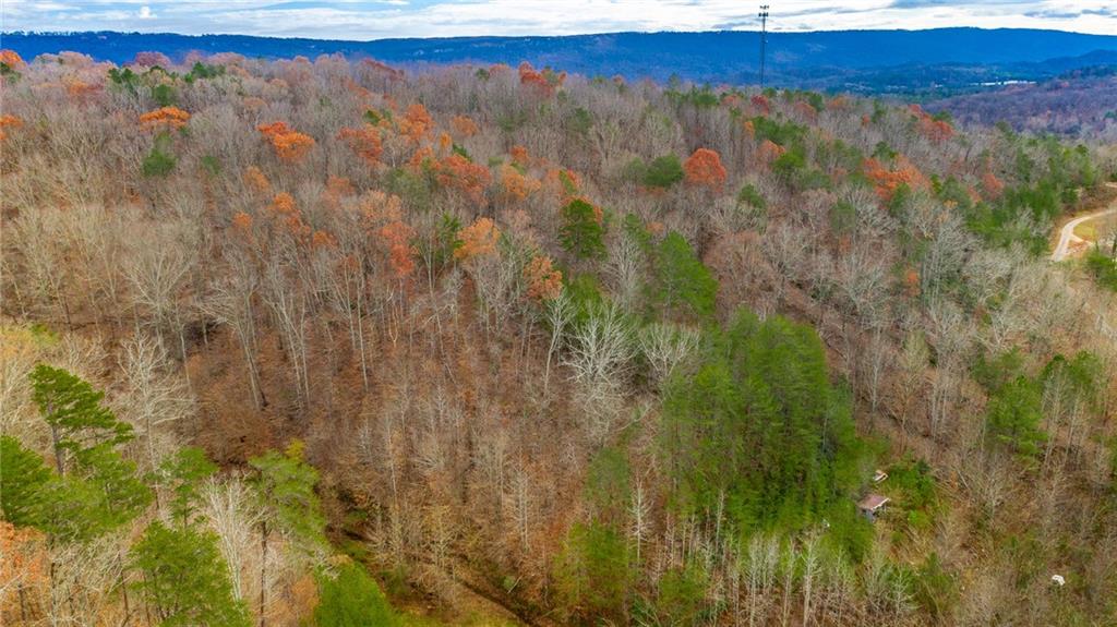 0 Slygo Road Wildwood, GA 30757 - Photo 19 of 30