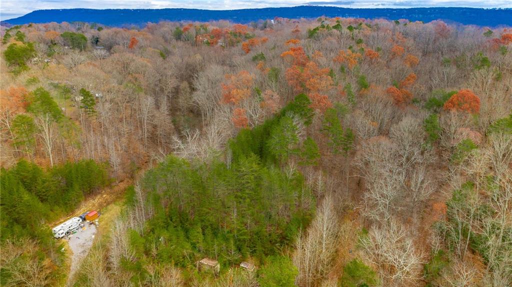 0 Slygo Road Wildwood, GA 30757 - Photo 22 of 30 a view of a yard