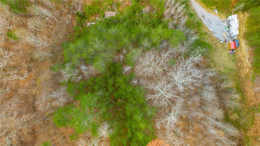 0 Slygo Road Wildwood, GA 30757 - Photo 25 of 30 a view of a forest