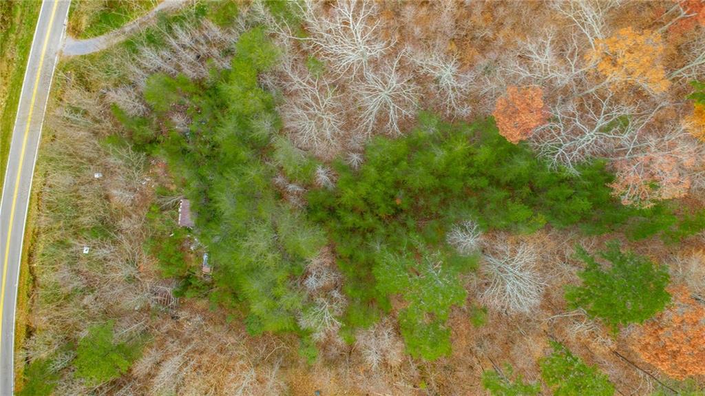 0 Slygo Road Wildwood, GA 30757 - Photo 29 of 30 a view of a forest
