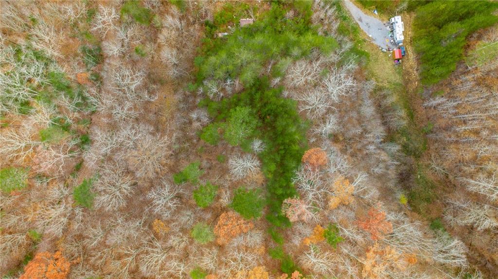 0 Slygo Road Wildwood, GA 30757 - Photo 5 of 30 a backyard of a house with lots of trees