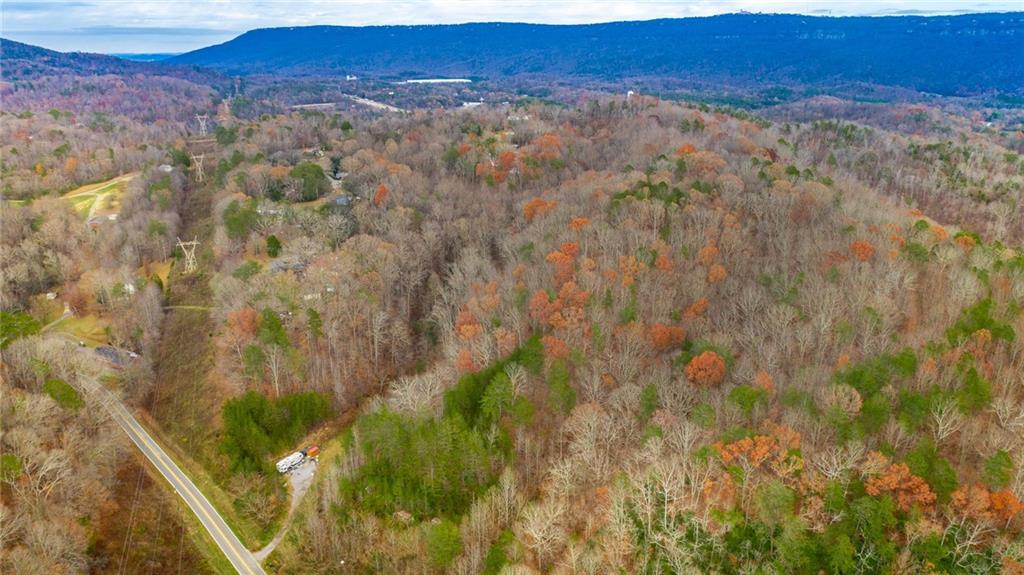 0 Slygo Road Wildwood, GA 30757 - Photo 6 of 30 a view of a forest with a mountain