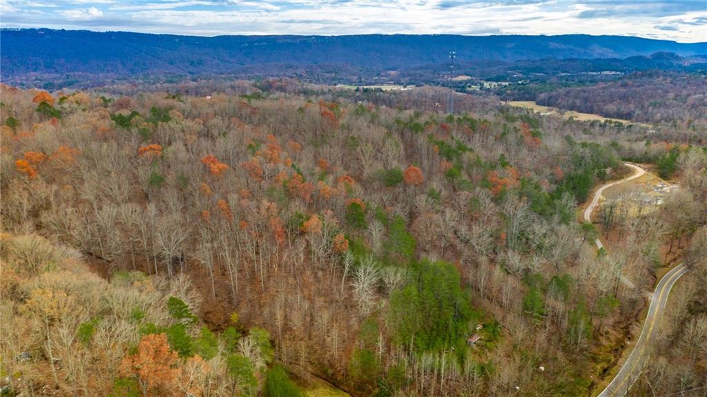 0 Slygo Road Wildwood, GA 30757 - Photo 10 of 30