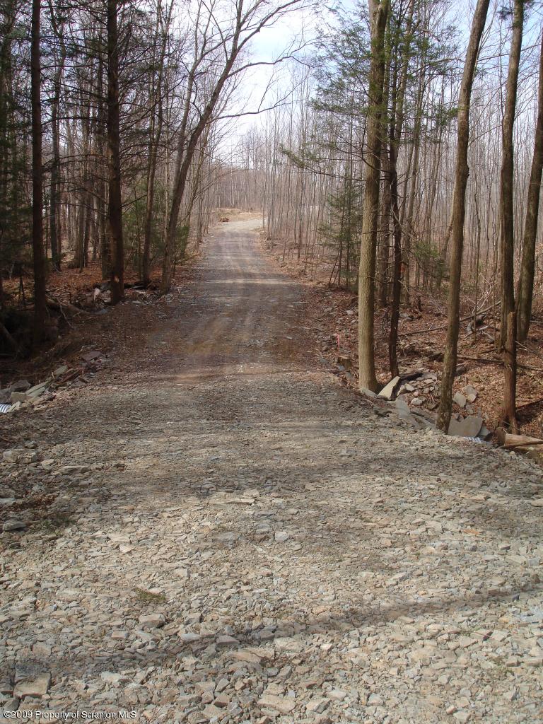 0 Creek Road Clarks Summit, PA 18411 - Photo 11 of 13 11