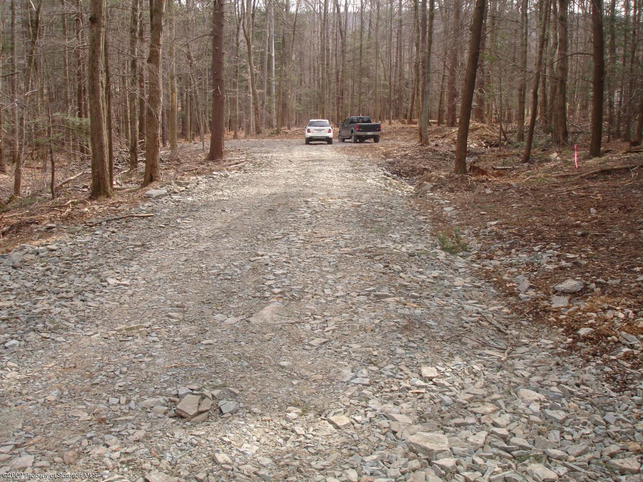 0 Creek Road Clarks Summit, PA 18411 - Photo 10 of 13 10