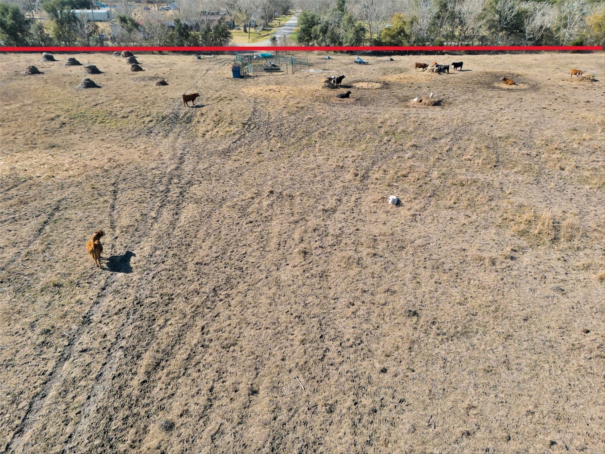 0 County Road 167 Alvin, TX 77511 - Photo 11 of 17 a view of small space covered with trees