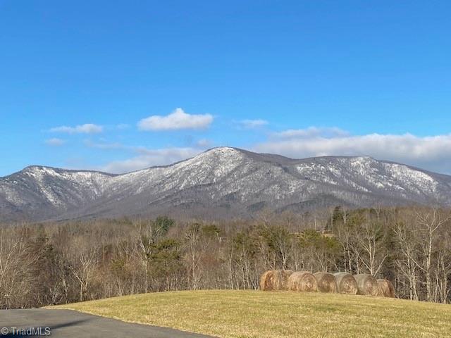 180 Twin Rocks Lane Lowgap, NC 27024 - Photo 5 of 46 Gallery Image 5