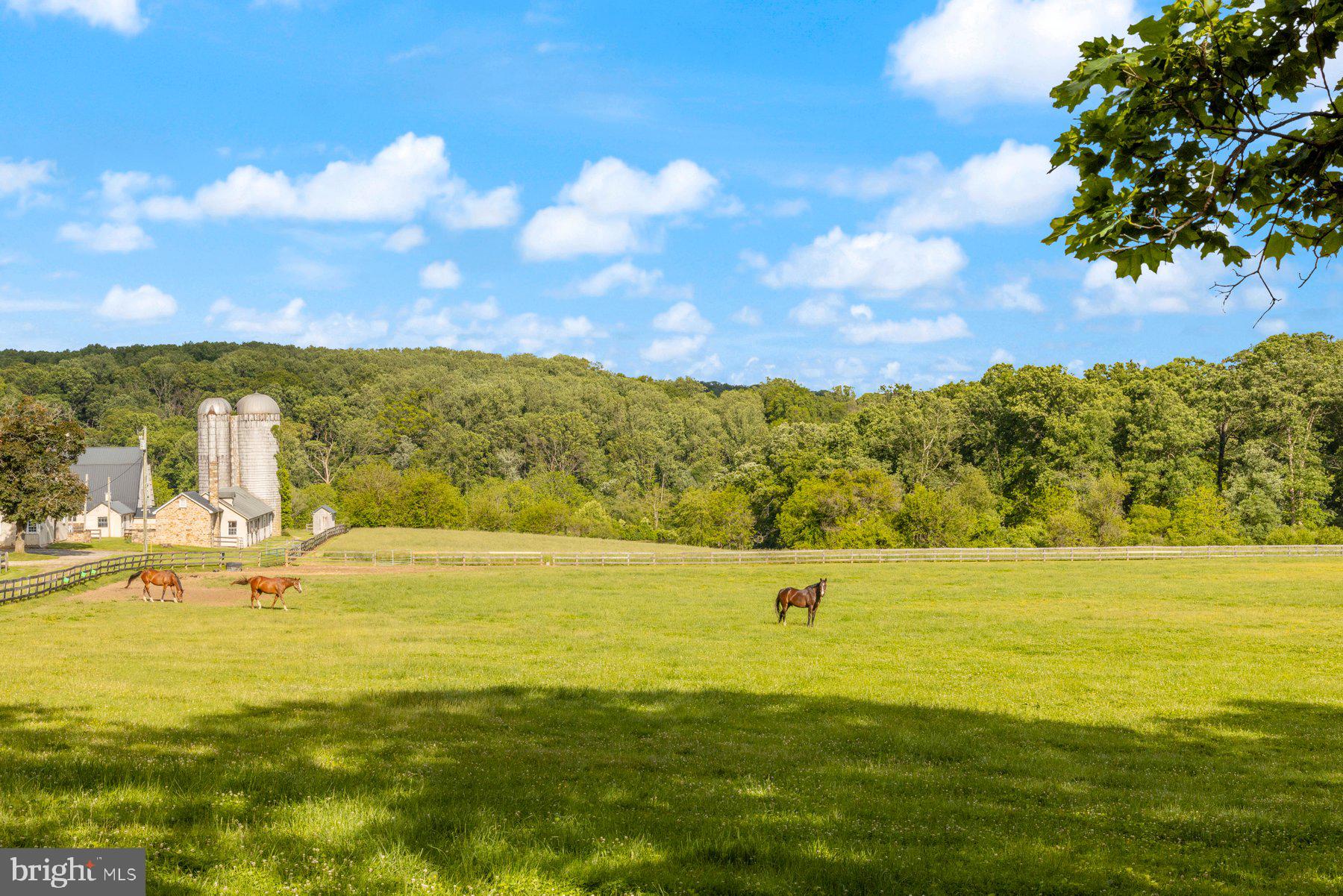 13704 Bardon Road Phoenix, MD 21131 - Photo 60 of 88 Close to Local Farms!
