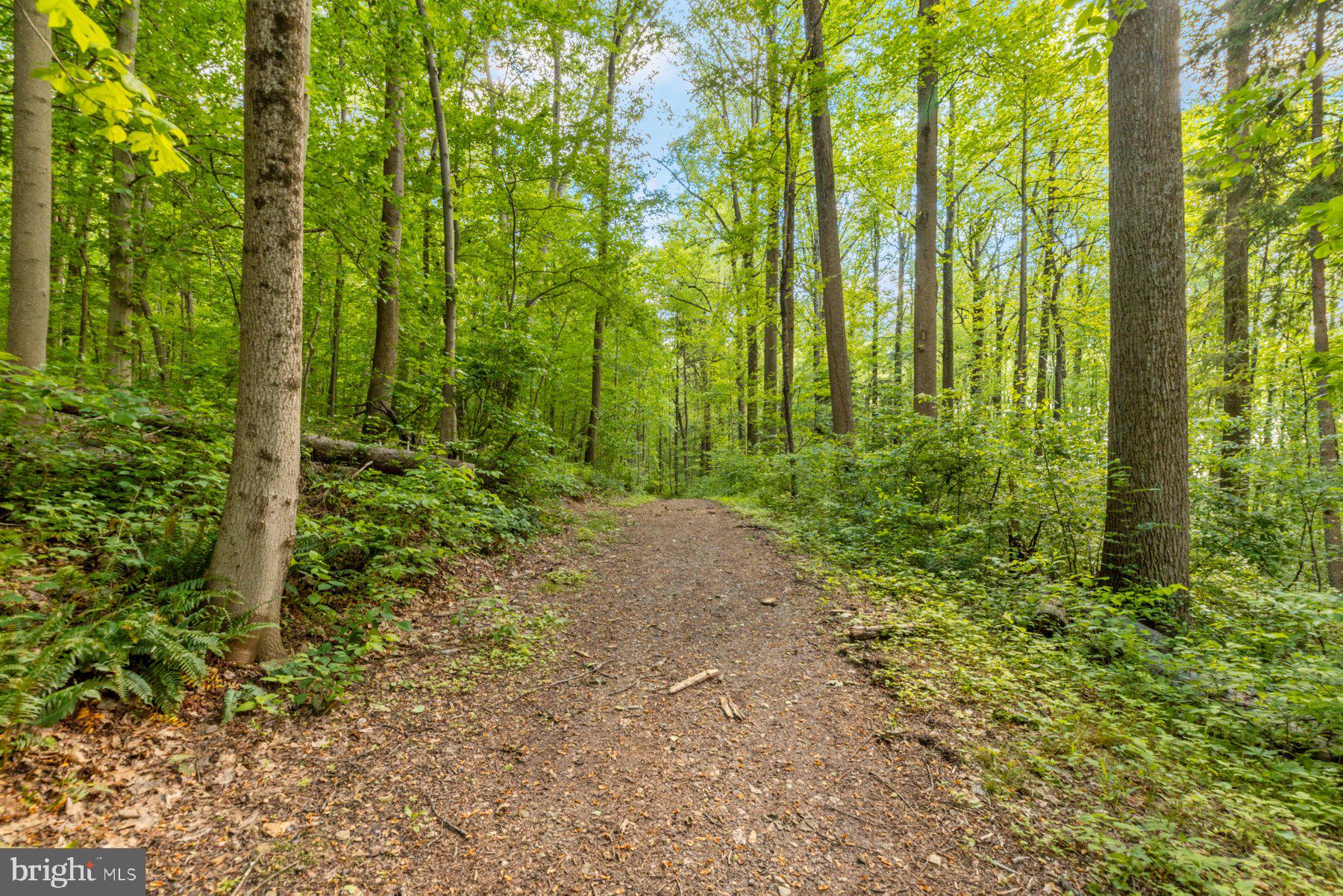 13704 Bardon Road Phoenix, MD 21131 - Photo 61 of 88 Local Walking Path