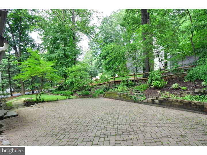 61 Shady Hill Road Media, PA 19063 - Photo 19 of 20 Back Yard