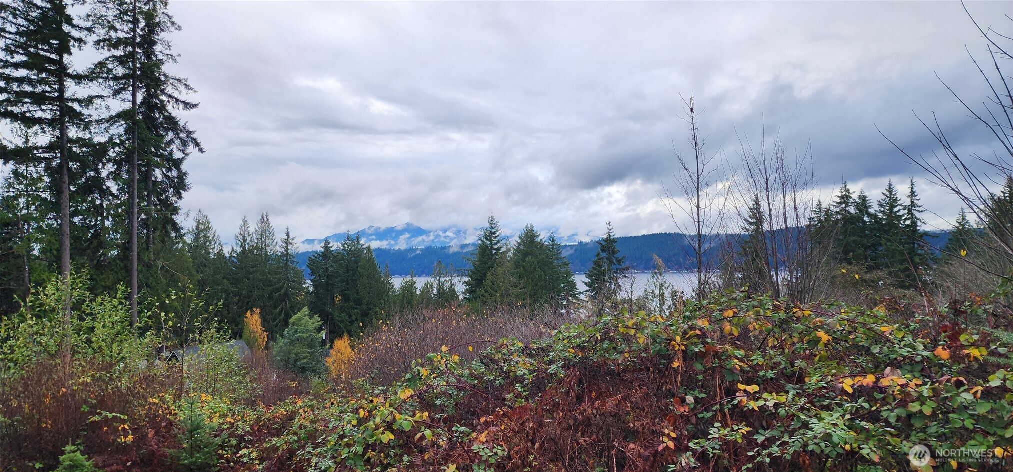 0 East Twanoh Heights Road North Belfair, WA 98528 - Photo 12 of 29 a view of a lake in middle of forest