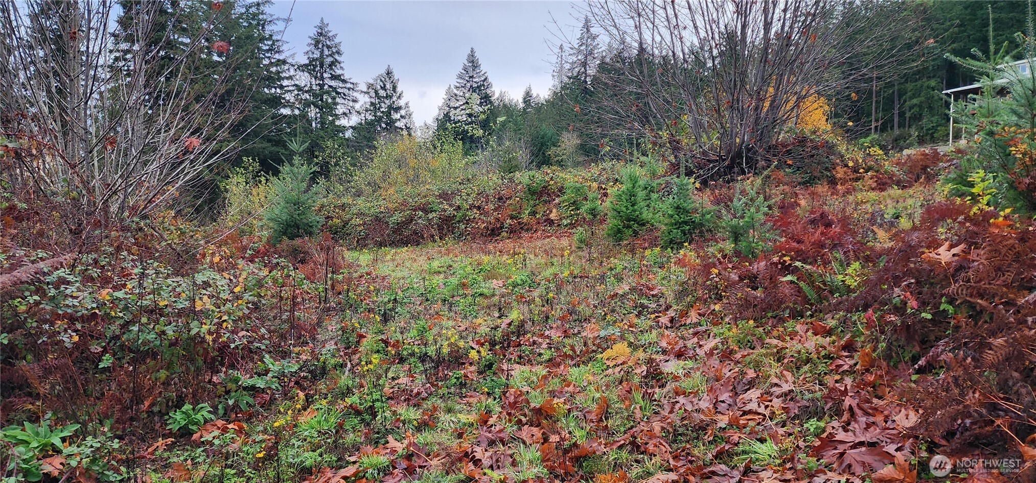 0 East Twanoh Heights Road North Belfair, WA 98528 - Photo 13 of 29 a view of a lush green forest
