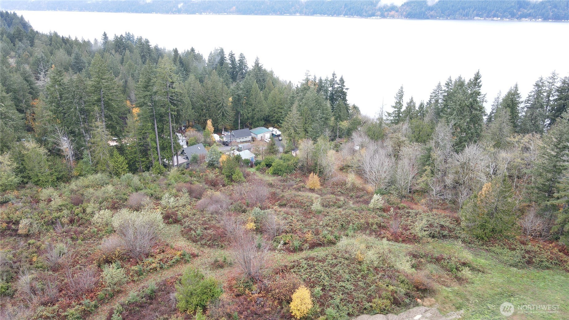 0 East Twanoh Heights Road North Belfair, WA 98528 - Photo 21 of 29 a view of a dry yard with trees