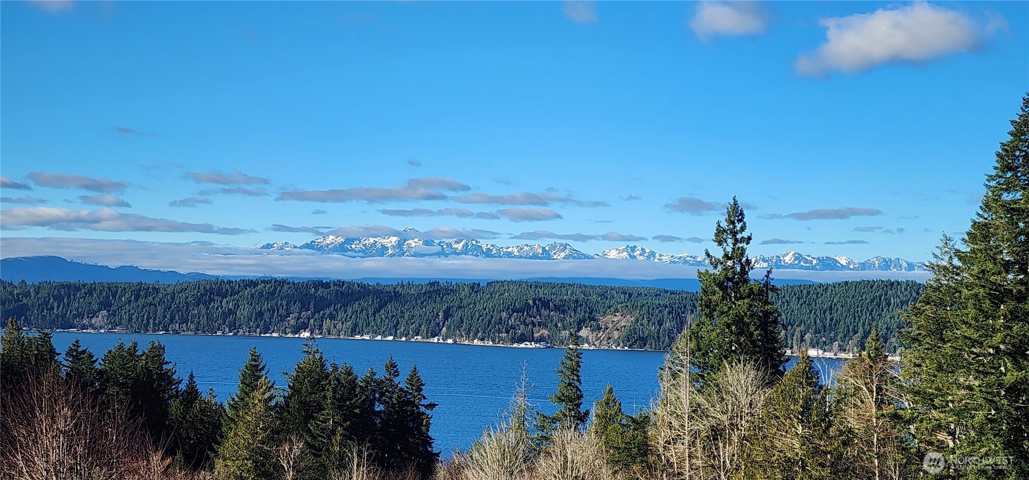 0 East Twanoh Heights Road North Belfair, WA 98528 - Photo 29 of 29 a view of a bunch of trees and a building in background