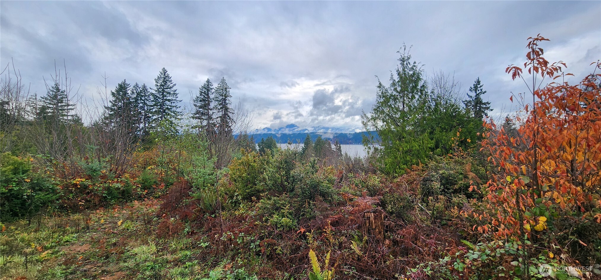 0 East Twanoh Heights Road North Belfair, WA 98528 - Photo 4 of 29 a backyard of a house