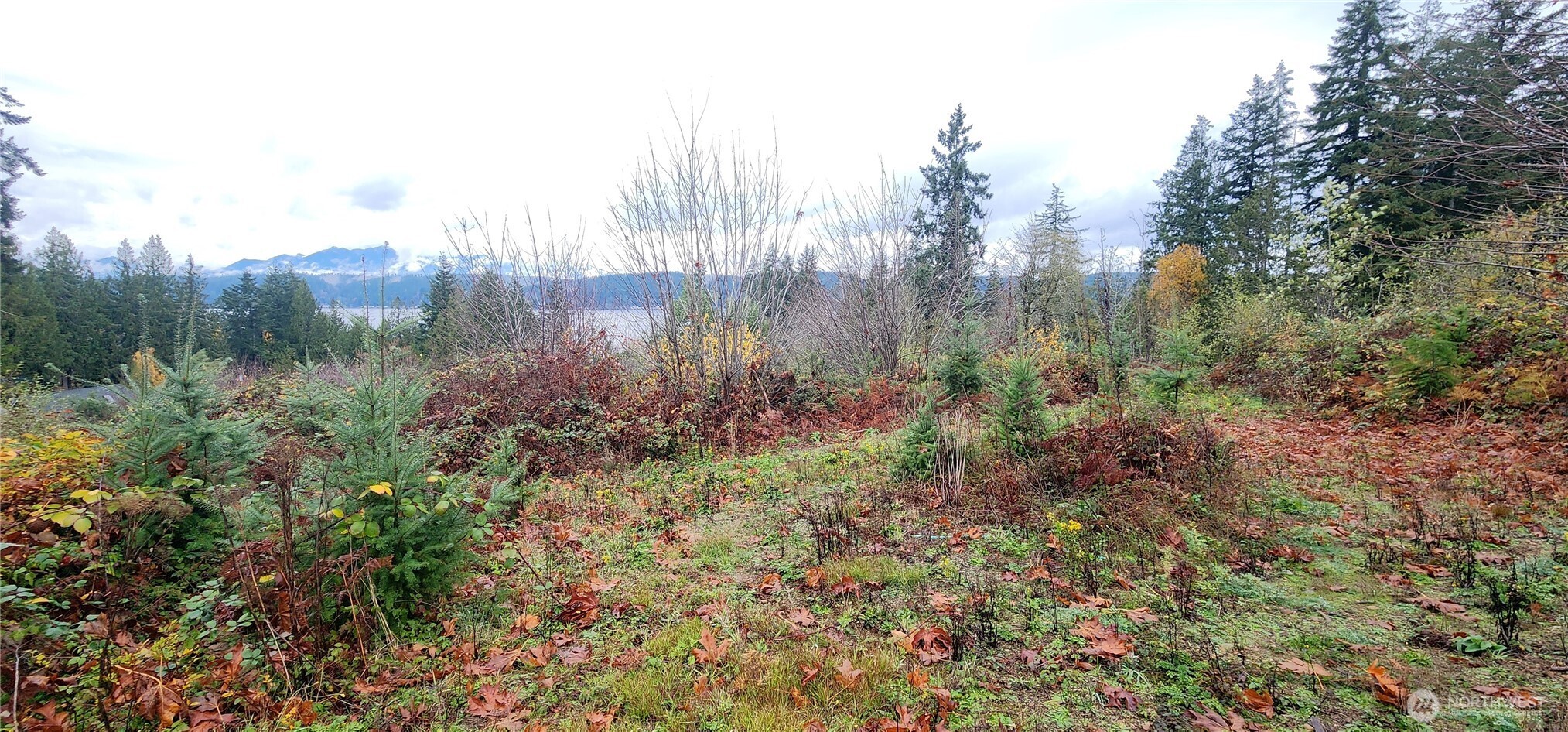 0 East Twanoh Heights Road North Belfair, WA 98528 - Photo 6 of 29 a view of a city with lush green forest