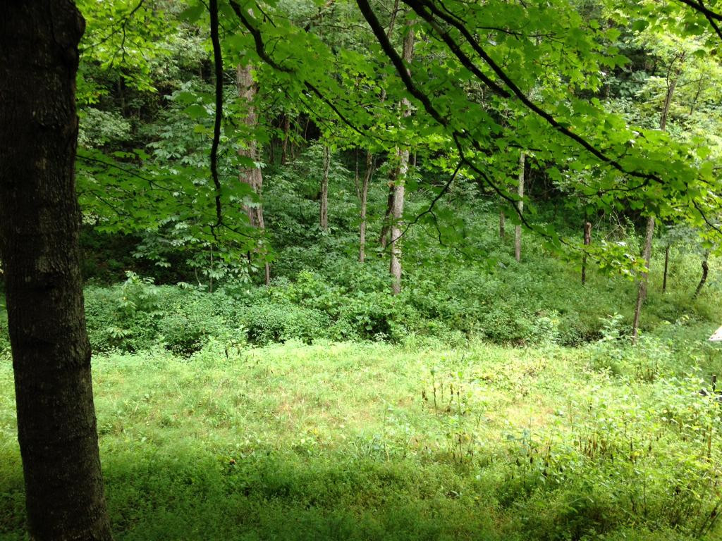 1674 Sloantown Road Duffield, VA 24244 - Photo 1 of 7 Your own outhouse