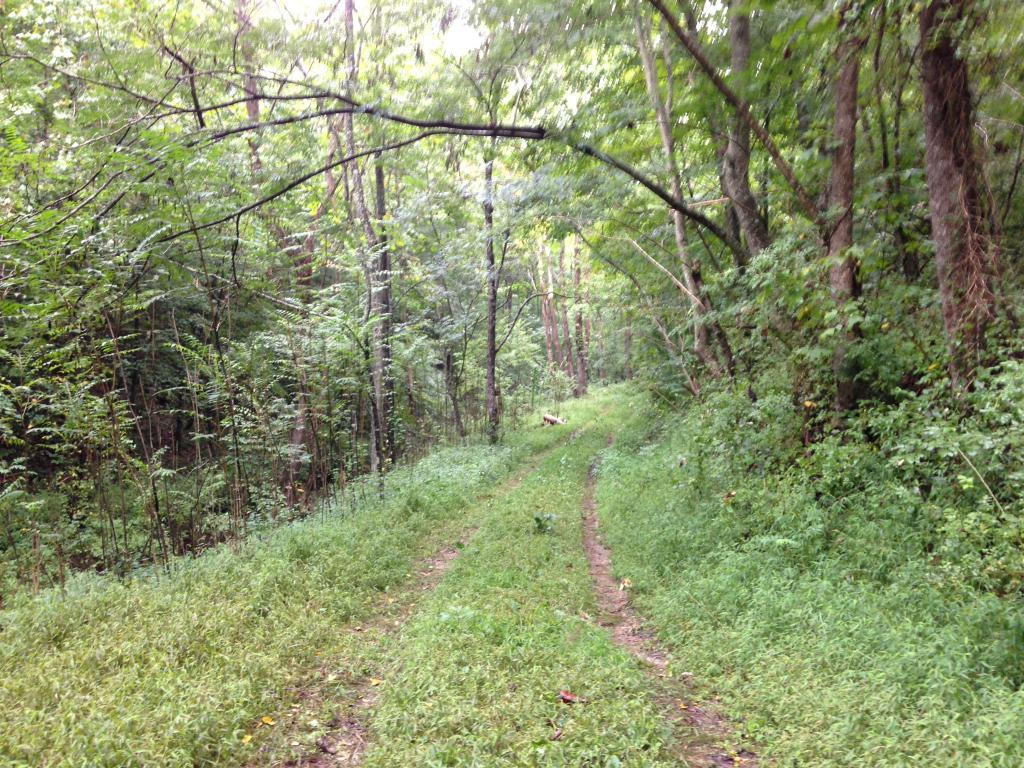 1674 Sloantown Road Duffield, VA 24244 - Photo 2 of 7 Seclusion