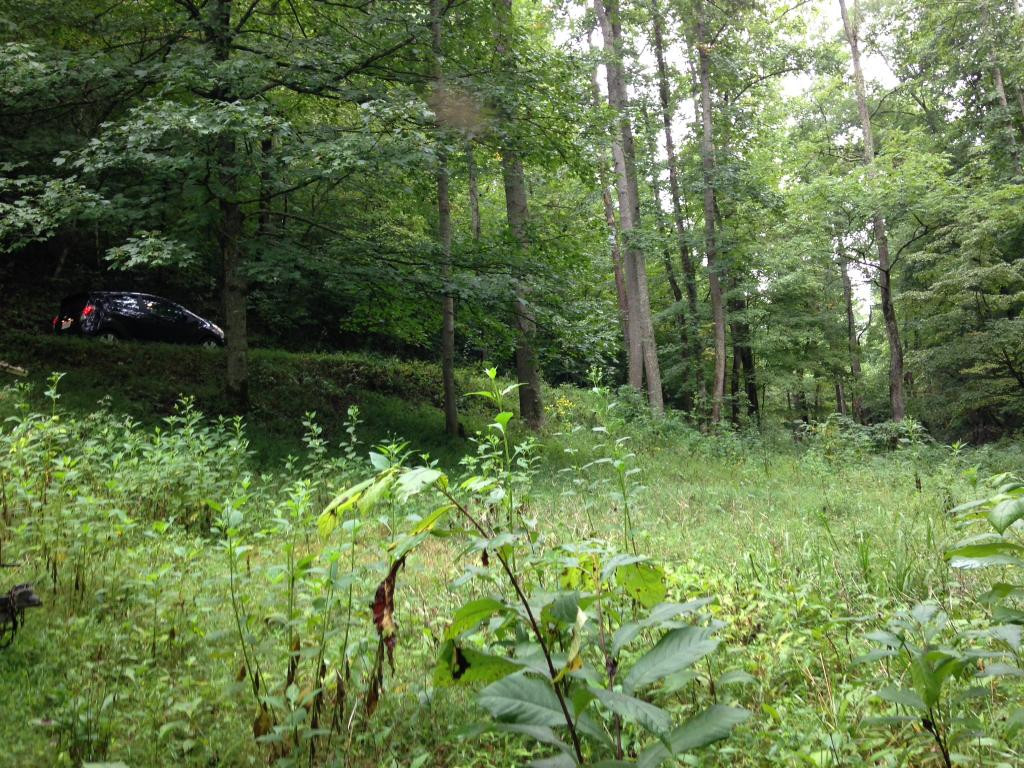 1674 Sloantown Road Duffield, VA 24244 - Photo 5 of 7 Access road to property
