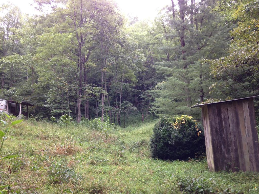 1674 Sloantown Road Duffield, VA 24244 - Photo 6 of 7 Panoramic view of the property