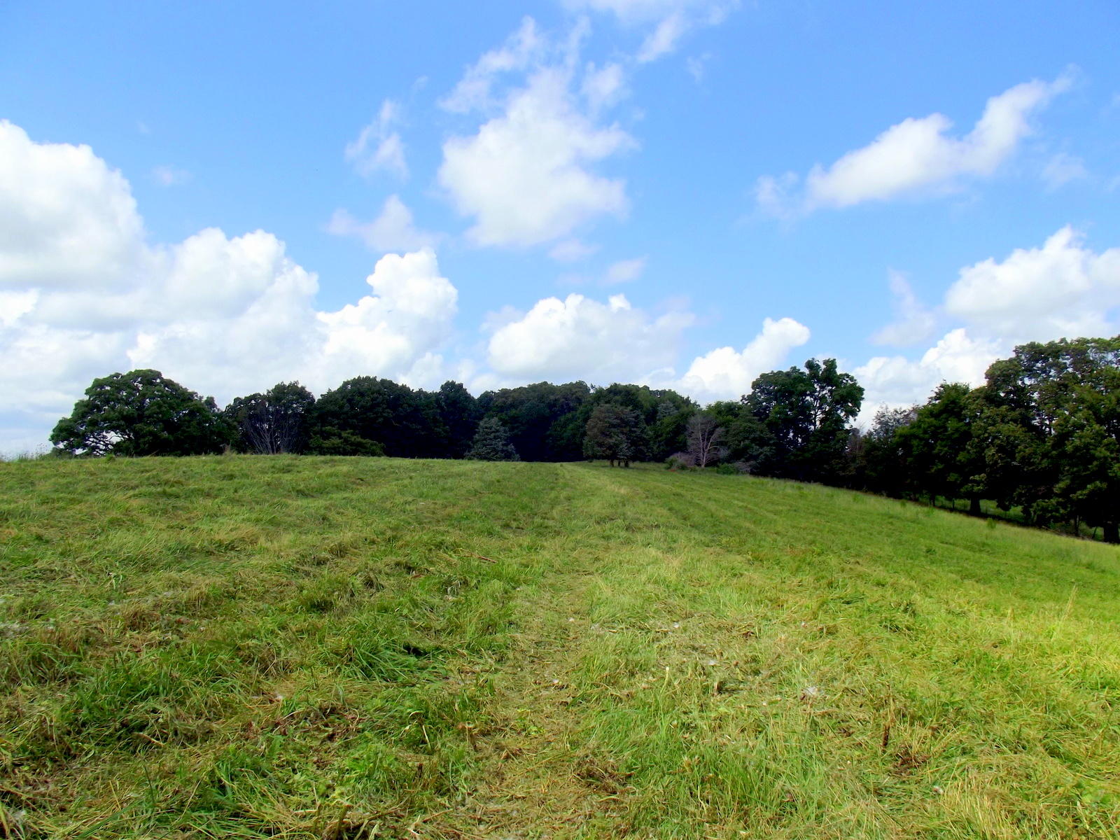 Allen Road Sweetwater, TN 37874 - Photo 3 of 19 03-05-DSCF0523