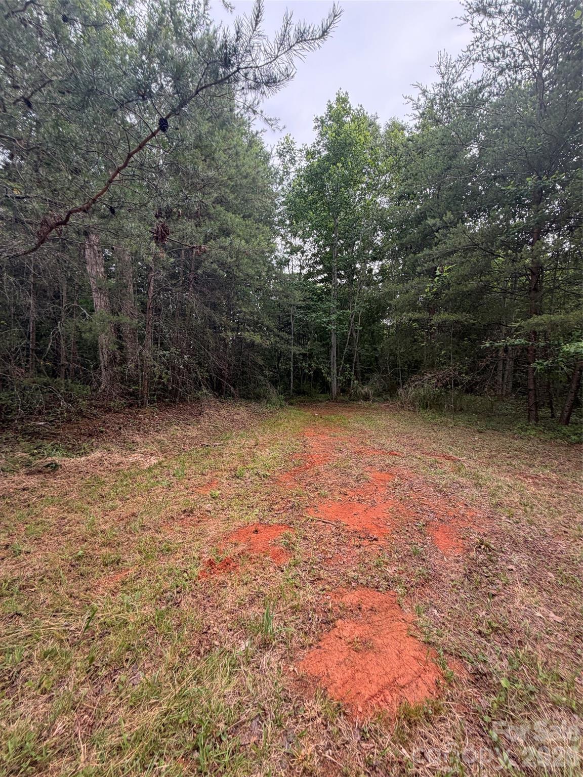Lot 7 Parker Padgett Road Old Fort, NC 28762 - Photo 5 of 13
