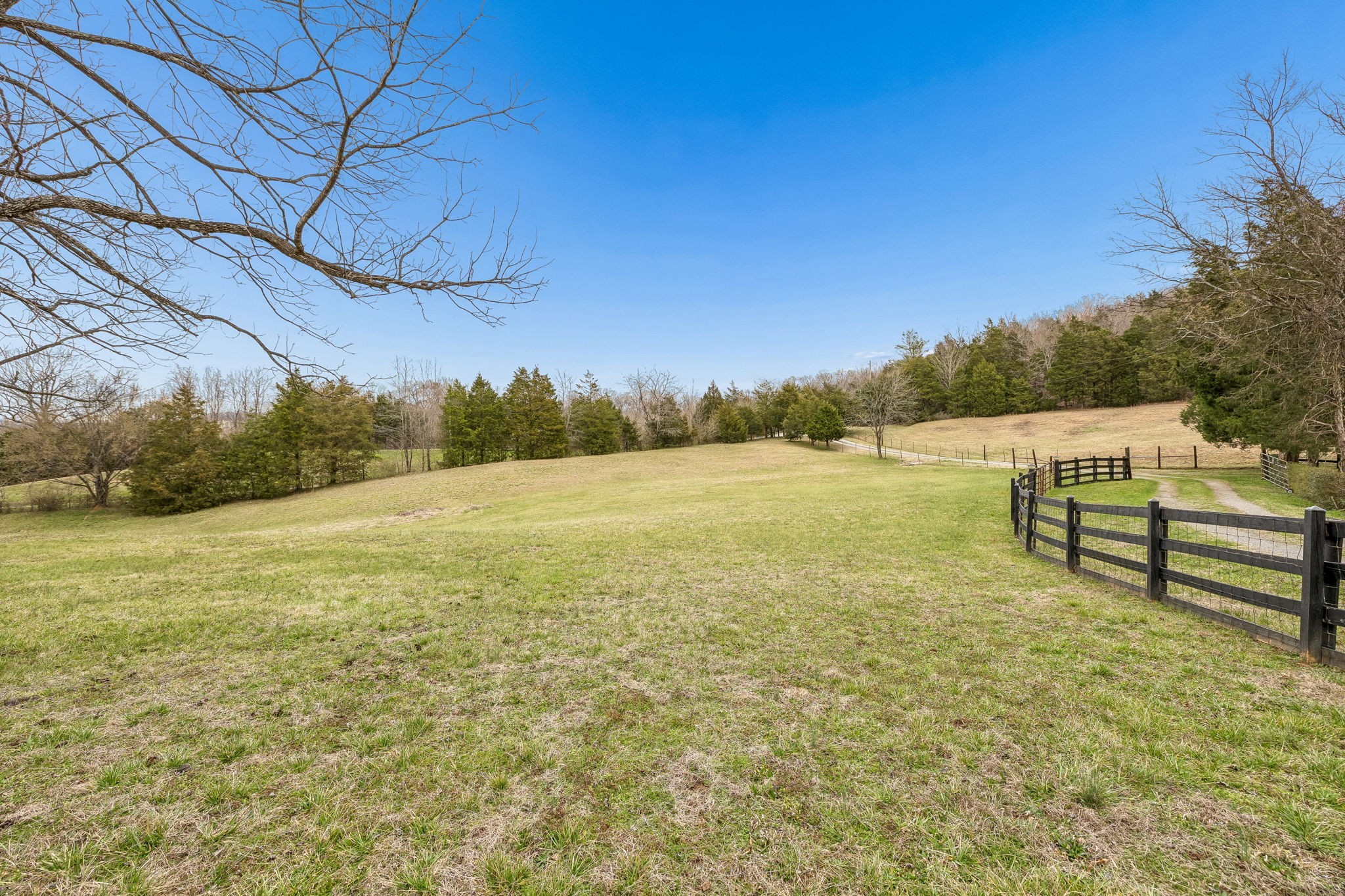 6200 Pinewood Road Nunnelly, TN 37137 - Photo 12 of 57 a view of outdoor space and yard
