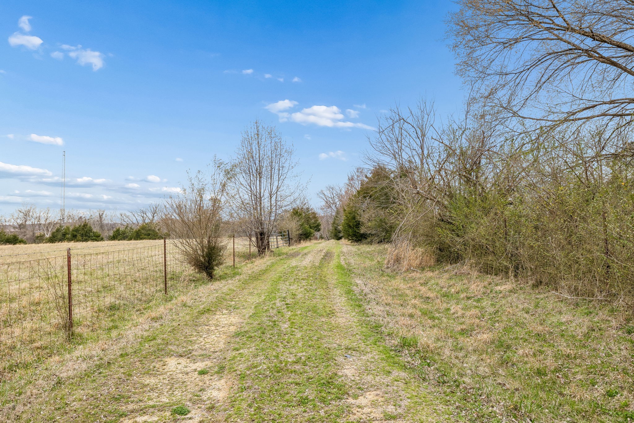 6200 Pinewood Road Nunnelly, TN 37137 - Photo 16 of 57 a view of a yard with an outdoor space