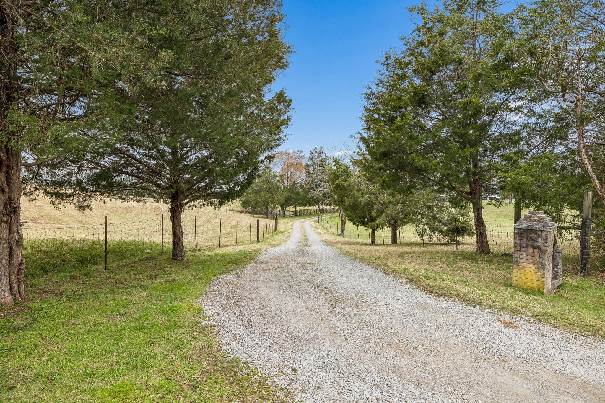 6200 Pinewood Road Nunnelly, TN 37137 - Photo 23 of 57 a view of backyard with tree