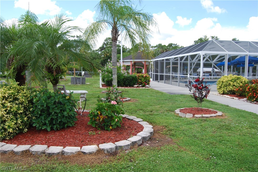 a view of a backyard with potted plants and palm trees